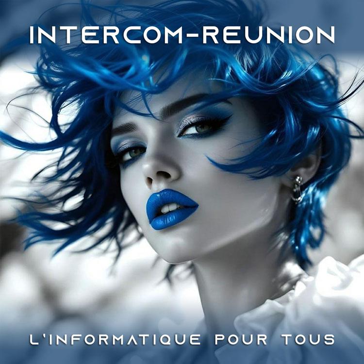 Accueil de L'Association Intercom-Réunion