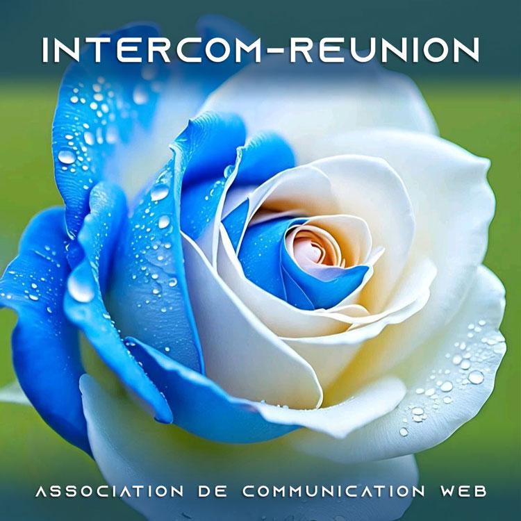 Les services essentiels de L'association