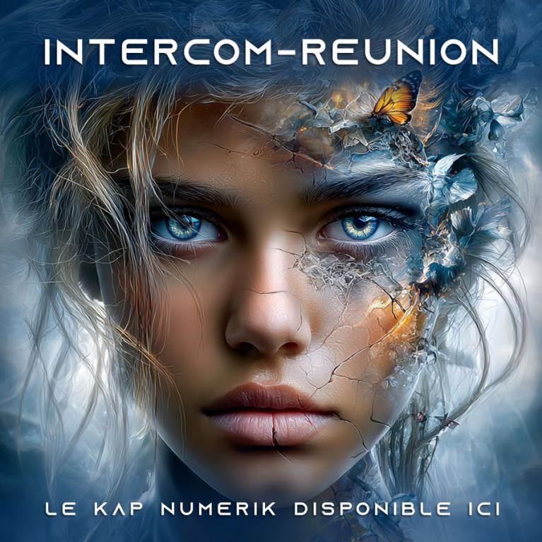 Le Numérique à La Réunion